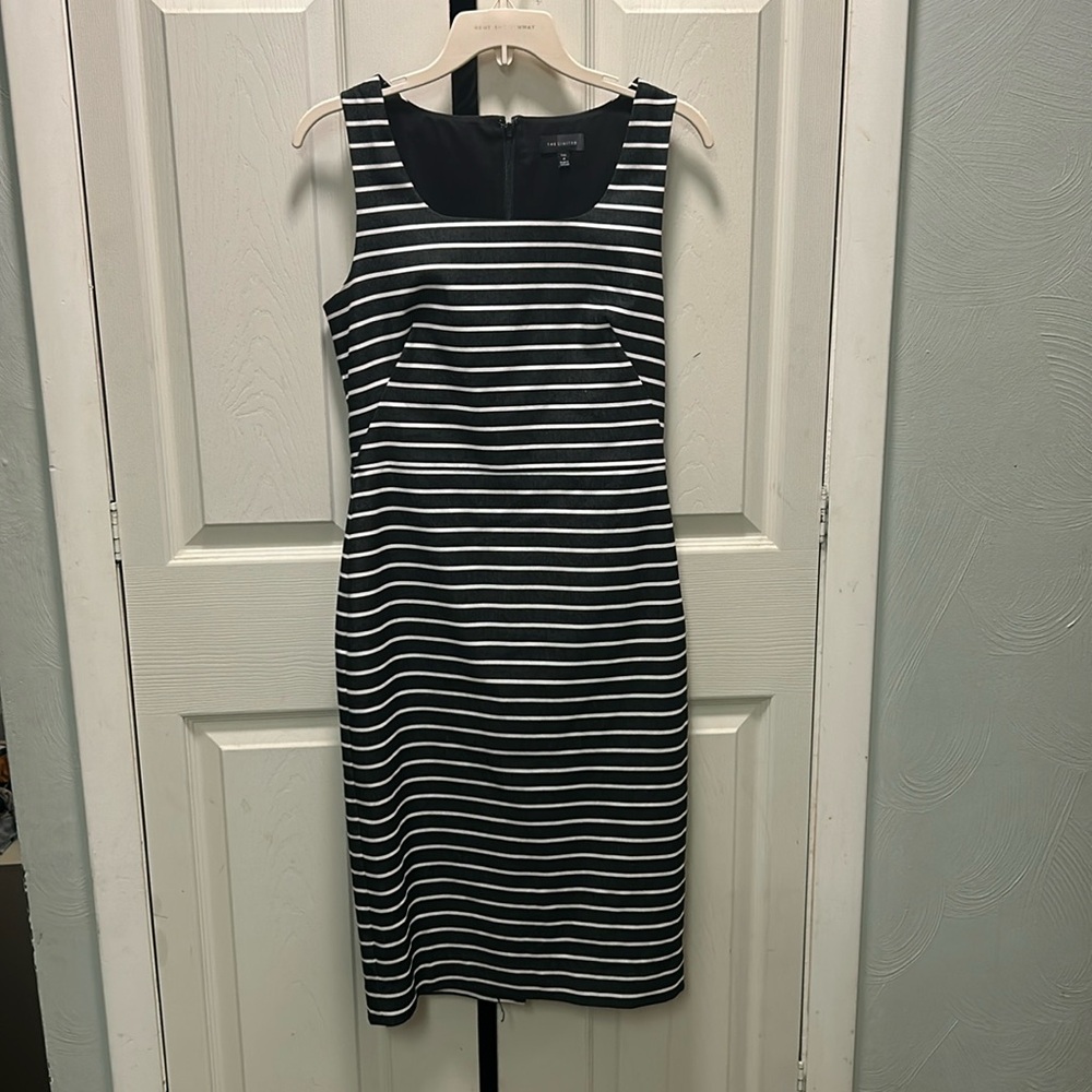 Limited Size 4 Black & White Striped Structured Shift. Wearing in my profile pic